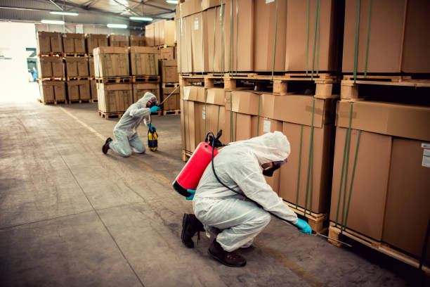 Trusted Fostoria, OH Pest Control Experts