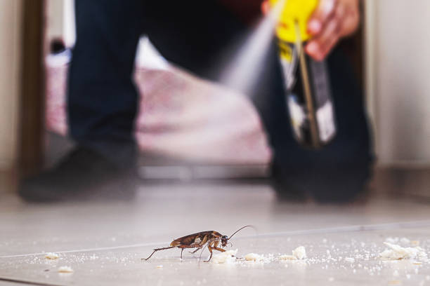 Best Mosquito Control Services  in Fostoria, OH
